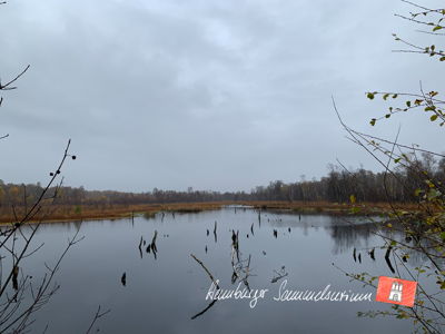Moorsee im Wittmoor am  4.11.2021 Moorsee im Wittmoor am  4.11.2021