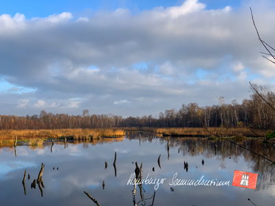 Moorsee im Wittmoor am  5.11.2021 Moorsee im Wittmoor am  5.11.2021