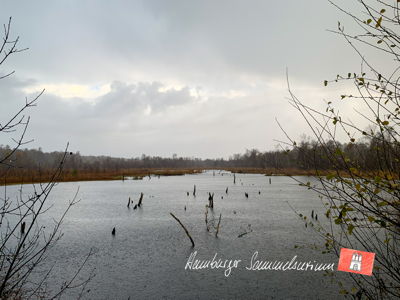 Moorsee im Wittmoor am  7.11.2021 Moorsee im Wittmoor am  7.11.2021