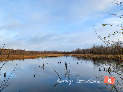 Moorsee im Wittmoor am  8.11.2021 Moorsee im Wittmoor am  8.11.2021