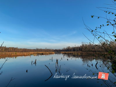 Moorsee im Wittmoor am  9.11.2021 Moorsee im Wittmoor am  9.11.2021