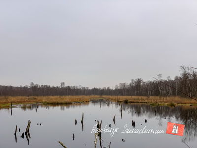 Moorsee im Wittmoor am  17.11.2021 Moorsee im Wittmoor am  17.11.2021