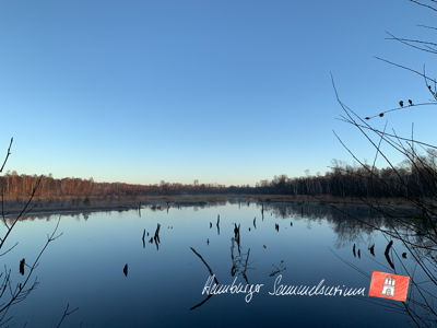 Moorsee im Wittmoor am  22.11.2021 Moorsee im Wittmoor am  22.11.2021