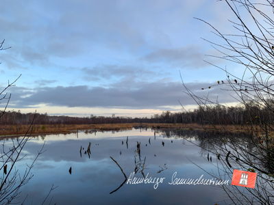 Moorsee im Wittmoor am  23.11.2021 Moorsee im Wittmoor am  23.11.2021