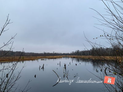 Moorsee im Wittmoor am  24.11.2021 Moorsee im Wittmoor am  24.11.2021