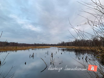 Moorsee im Wittmoor am  25.11.2021 Moorsee im Wittmoor am  25.11.2021