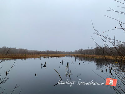 Moorsee im Wittmoor am  29.11.2021 Moorsee im Wittmoor am  29.11.2021