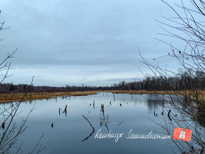 Moorsee im Wittmoor am  30.11.2021 Moorsee im Wittmoor am  30.11.2021