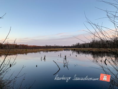 Moorsee im Wittmoor am  2.12.2021 Moorsee im Wittmoor am  2.12.2021