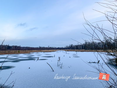 Moorsee im Wittmoor am  3.12.2021 Moorsee im Wittmoor am  3.12.2021