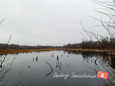 Moorsee im Wittmoor am  5.12.2021 Moorsee im Wittmoor am  5.12.2021