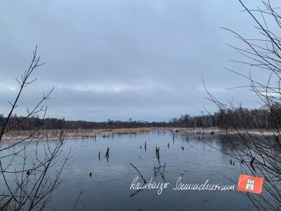 Moorsee im Wittmoor am  6.12.2021 Moorsee im Wittmoor am  6.12.2021