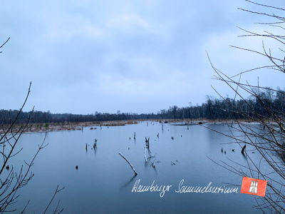 Moorsee im Wittmoor am  8.12.2021 Moorsee im Wittmoor am  8.12.2021