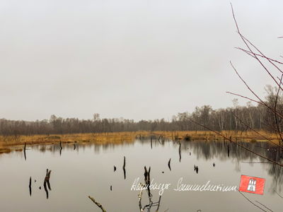Moorsee im Wittmoor am  13.12.2021 Moorsee im Wittmoor am  13.12.2021