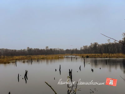 Moorsee im Wittmoor am  14.12.2021 Moorsee im Wittmoor am  14.12.2021