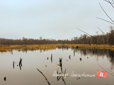 Moorsee im Wittmoor am  16.12.2021 Moorsee im Wittmoor am  16.12.2021