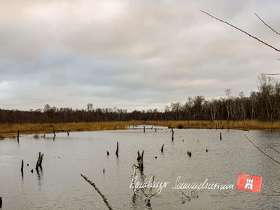 Moorsee im Wittmoor am  19.12.2021 Moorsee im Wittmoor am  19.12.2021