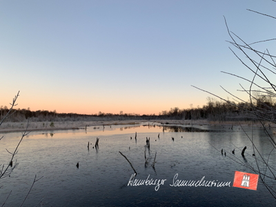 Moorsee im Wittmoor am  20.12.2021 Moorsee im Wittmoor am  20.12.2021