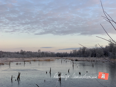 Moorsee im Wittmoor am  21.12.2021 Moorsee im Wittmoor am  21.12.2021