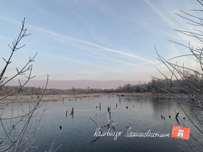 Moorsee im Wittmoor am  22.12.2021 Moorsee im Wittmoor am  22.12.2021