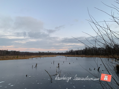 Moorsee im Wittmoor am  27.12.2021 Moorsee im Wittmoor am  27.12.2021