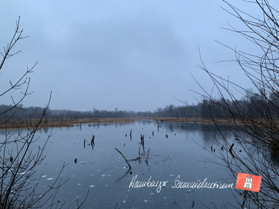 Moorsee im Wittmoor am  28.12.2021 Moorsee im Wittmoor am  28.12.2021