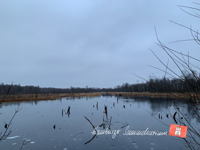 Moorsee im Wittmoor am  30.12.2021 Moorsee im Wittmoor am  30.12.2021