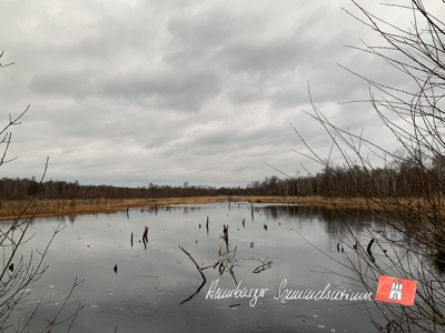 Moorsee im Wittmoor am  31.12.2021 Moorsee im Wittmoor am  31.12.2021
