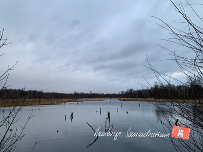 Moorsee im Wittmoor am  5.1.2022 Moorsee im Wittmoor am  5.1.2022