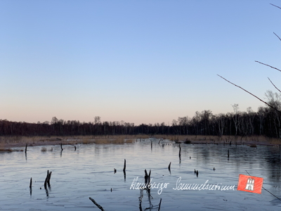 Moorsee im Wittmoor am  6.1.2022 Moorsee im Wittmoor am  6.1.2022