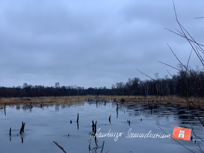 Moorsee im Wittmoor am  7.1.2022 Moorsee im Wittmoor am  7.1.2022