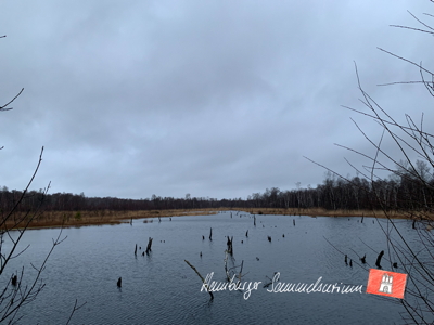 Moorsee im Wittmoor am  17.1.2022 Moorsee im Wittmoor am  17.1.2022