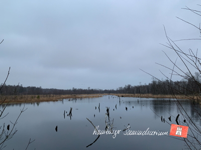 Moorsee im Wittmoor am  19.1.2022 Moorsee im Wittmoor am  19.1.2022