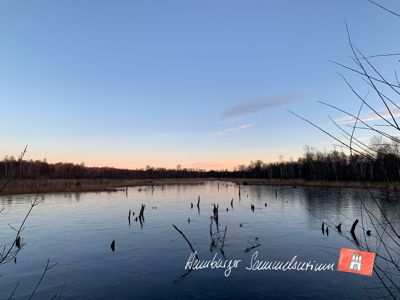 Moorsee im Wittmoor am  21.1.2022 Moorsee im Wittmoor am  21.1.2022