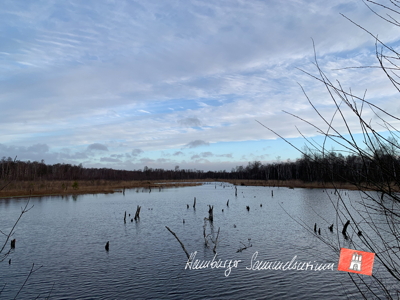 Moorsee im Wittmoor am  2.2.2022 Moorsee im Wittmoor am  2.2.2022