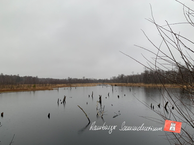 Moorsee im Wittmoor am  3.2.2022 Moorsee im Wittmoor am  3.2.2022