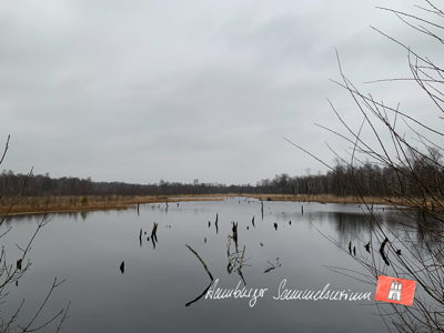 Moorsee im Wittmoor am  4.2.2022 Moorsee im Wittmoor am  4.2.2022