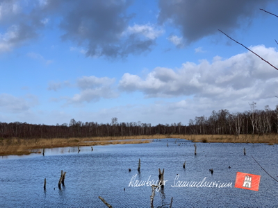 Moorsee im Wittmoor am  7.2.2022 Moorsee im Wittmoor am  7.2.2022