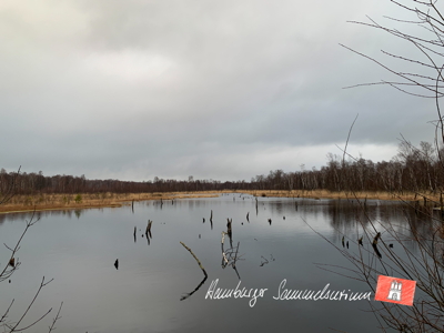 Moorsee im Wittmoor am  15.2.2022 Moorsee im Wittmoor am  15.2.2022