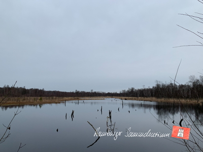 Moorsee im Wittmoor am  18.2.2022 Moorsee im Wittmoor am  18.2.2022