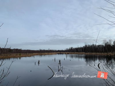 Moorsee im Wittmoor am  22.2.2022 Moorsee im Wittmoor am  22.2.2022