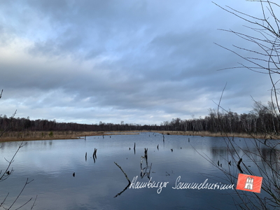Moorsee im Wittmoor am  25.2.2022 Moorsee im Wittmoor am  25.2.2022