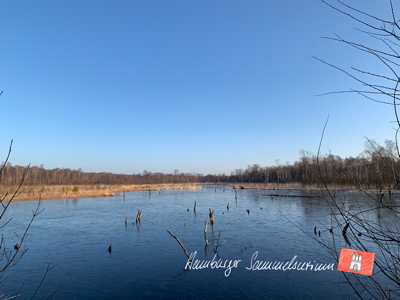 Moorsee im Wittmoor am  28.2.2022 Moorsee im Wittmoor am  28.2.2022