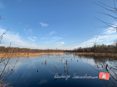 Moorsee im Wittmoor am 1.3.2022 Moorsee im Wittmoor am 1.3.2022