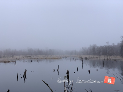 Moorsee im Wittmoor am 3.3.2022 Moorsee im Wittmoor am 3.3.2022