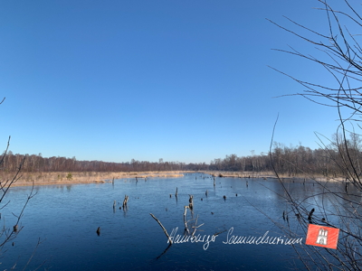 Moorsee im Wittmoor am 7.3.2022 Moorsee im Wittmoor am 7.3.2022