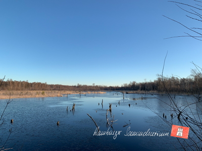 Moorsee im Wittmoor am 8.3.2022 Moorsee im Wittmoor am 8.3.2022