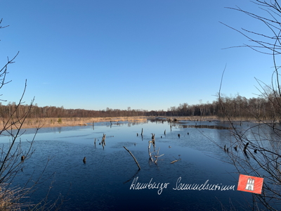 Moorsee im Wittmoor am 9.3.2022 Moorsee im Wittmoor am 9.3.2022