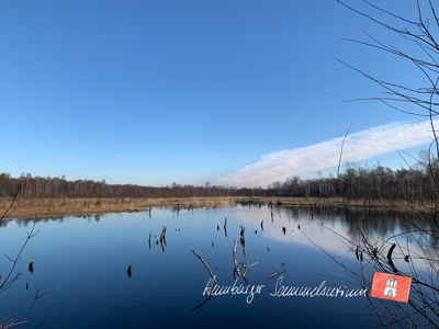 Moorsee im Wittmoor am 10.3.2022 Moorsee im Wittmoor am 10.3.2022