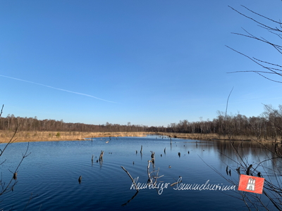 Moorsee im Wittmoor am 11.3.2022 Moorsee im Wittmoor am 11.3.2022